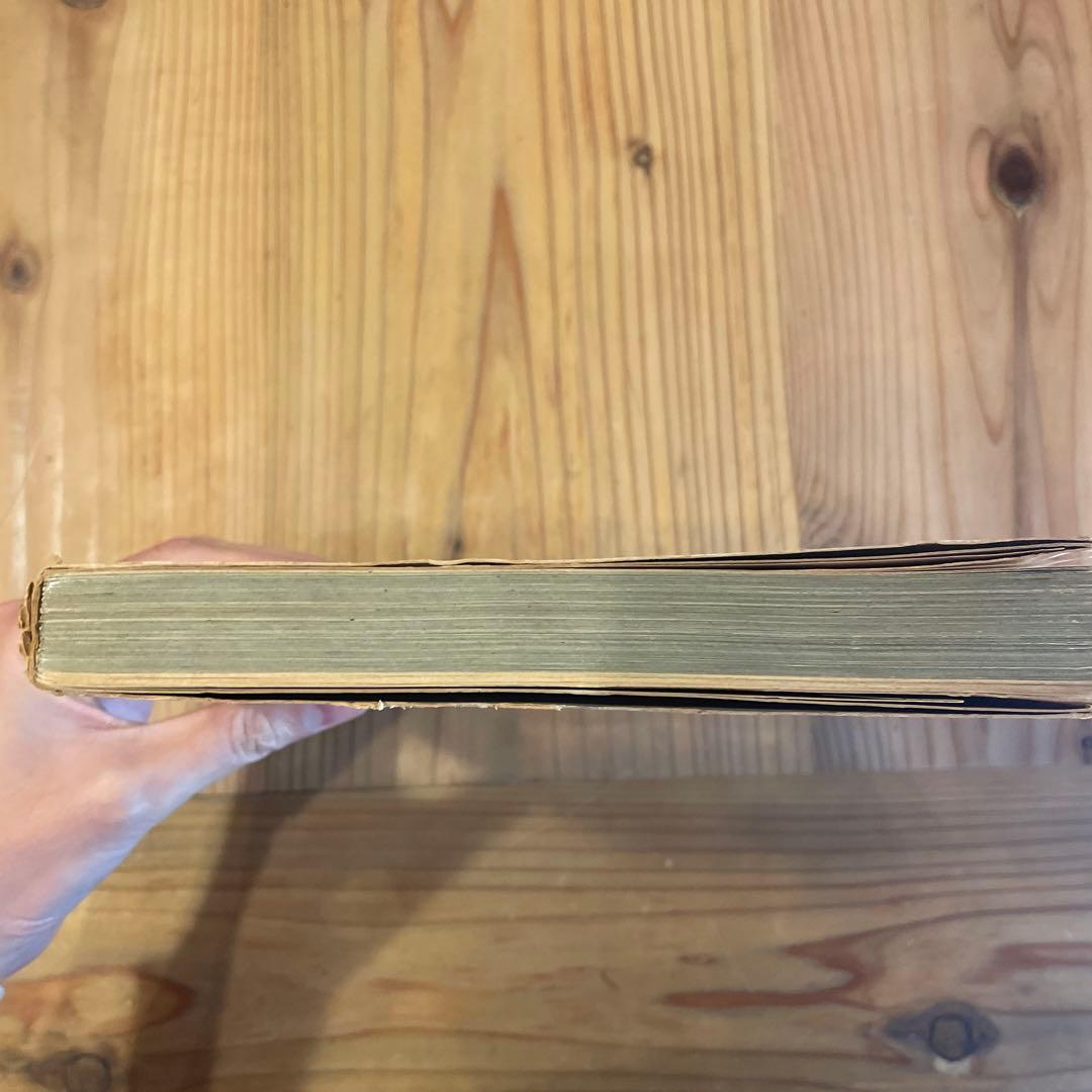 写真よさようなら　森山大道　中平卓馬