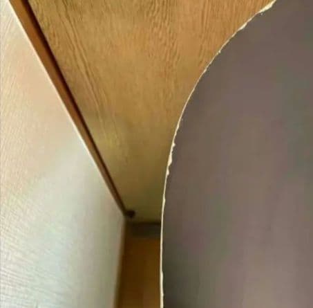 NOVEMBER DESIRE & UNIONビンディング