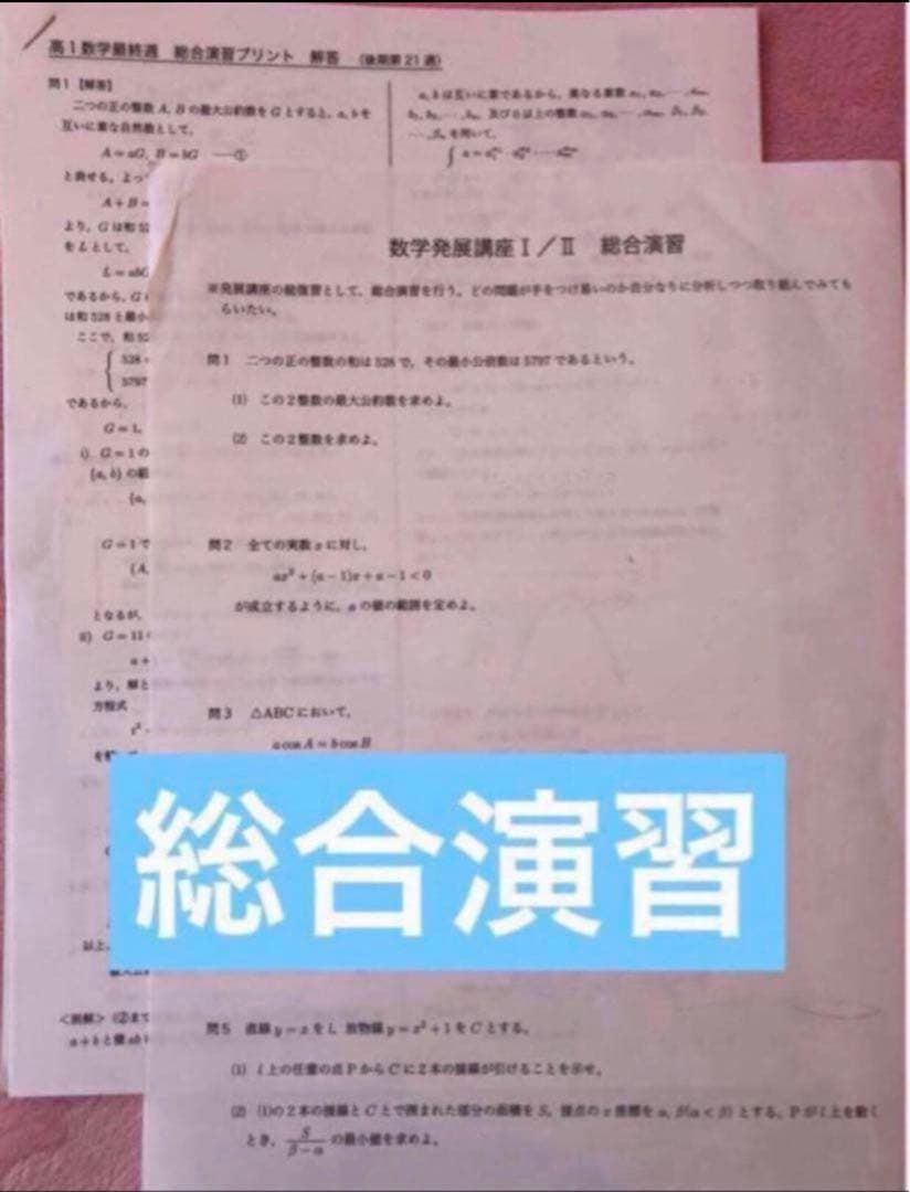 確認用【フル独学可】鉄緑会 高1 数学 発展講座I/II ノート　プリント　講習