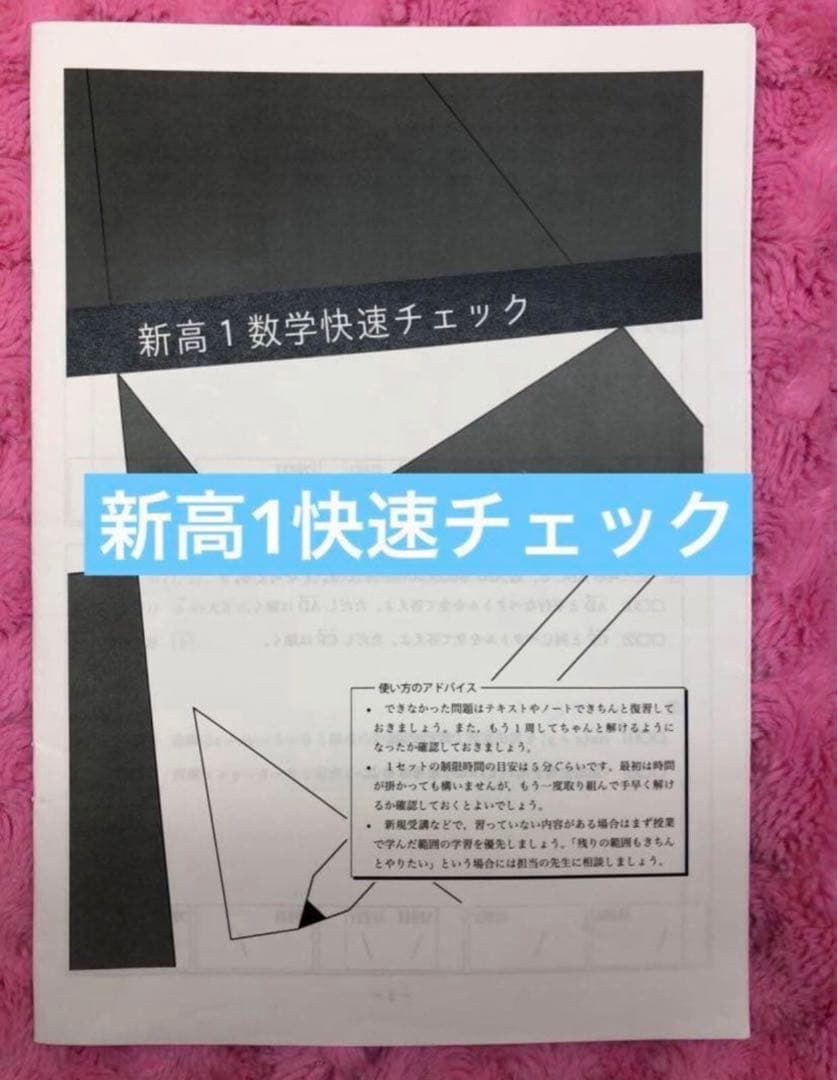 確認用【フル独学可】鉄緑会 高1 数学 発展講座I/II ノート　プリント　講習