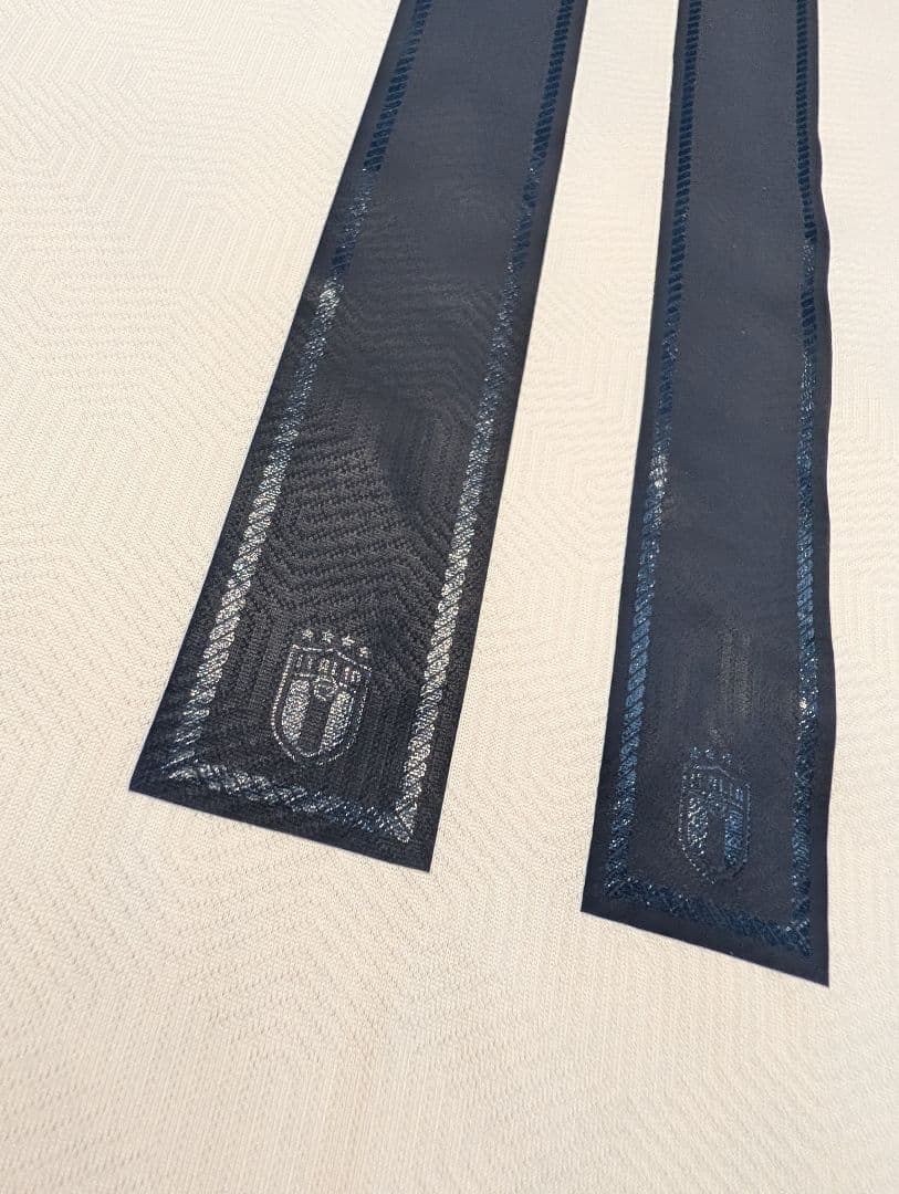 EURO2020予選 選手支給用シャツ ザニオーロ ルネサンスモデル