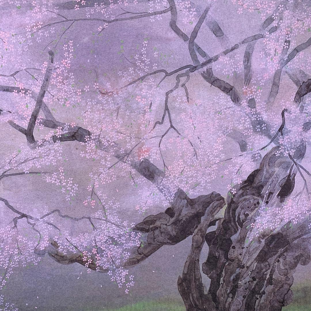 美品 掛け軸 中島干波筆「臥龍櫻図」桜爛漫 縁起物 名画