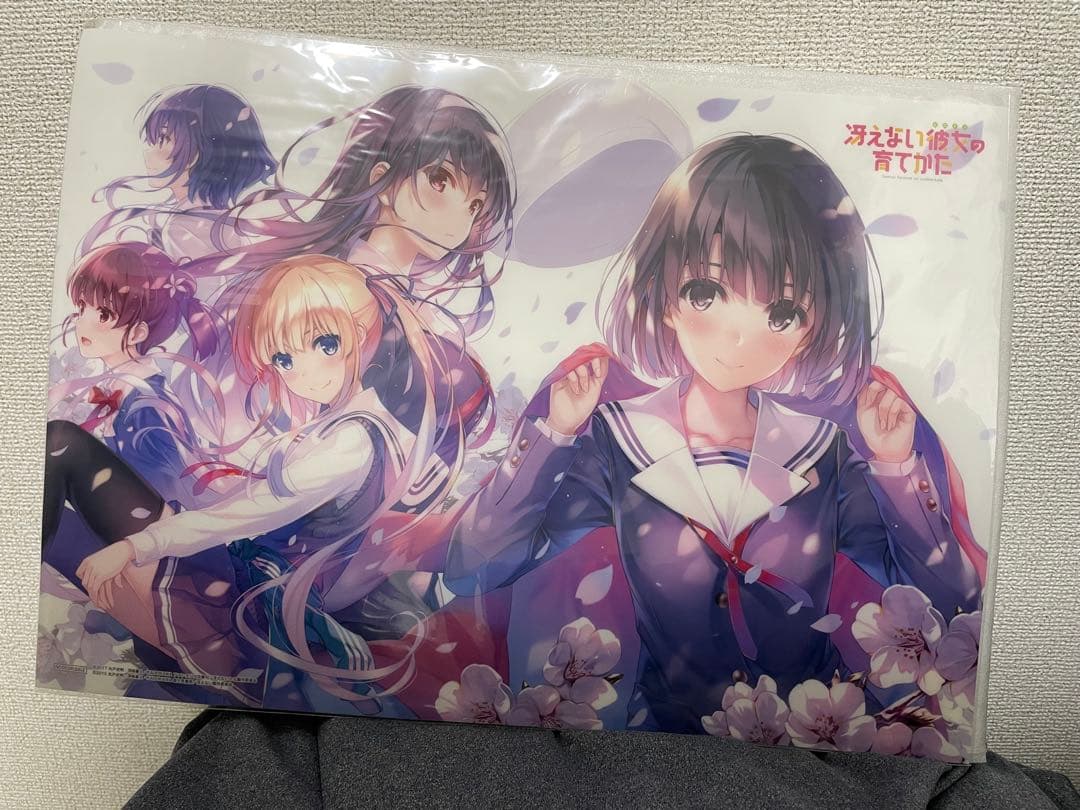 冴えない彼女の育てかた ビッグタオル・クリアポスター・タペストリー