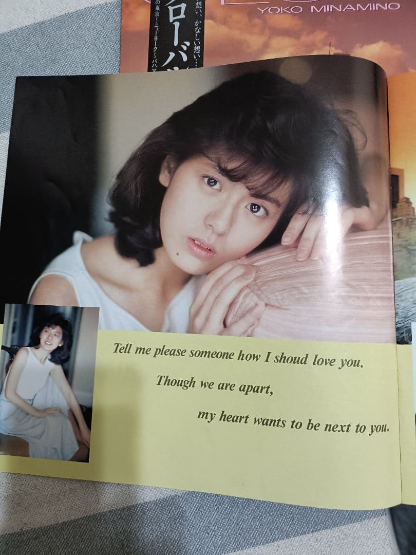 南野陽子さん　LPレコード2枚セットです。