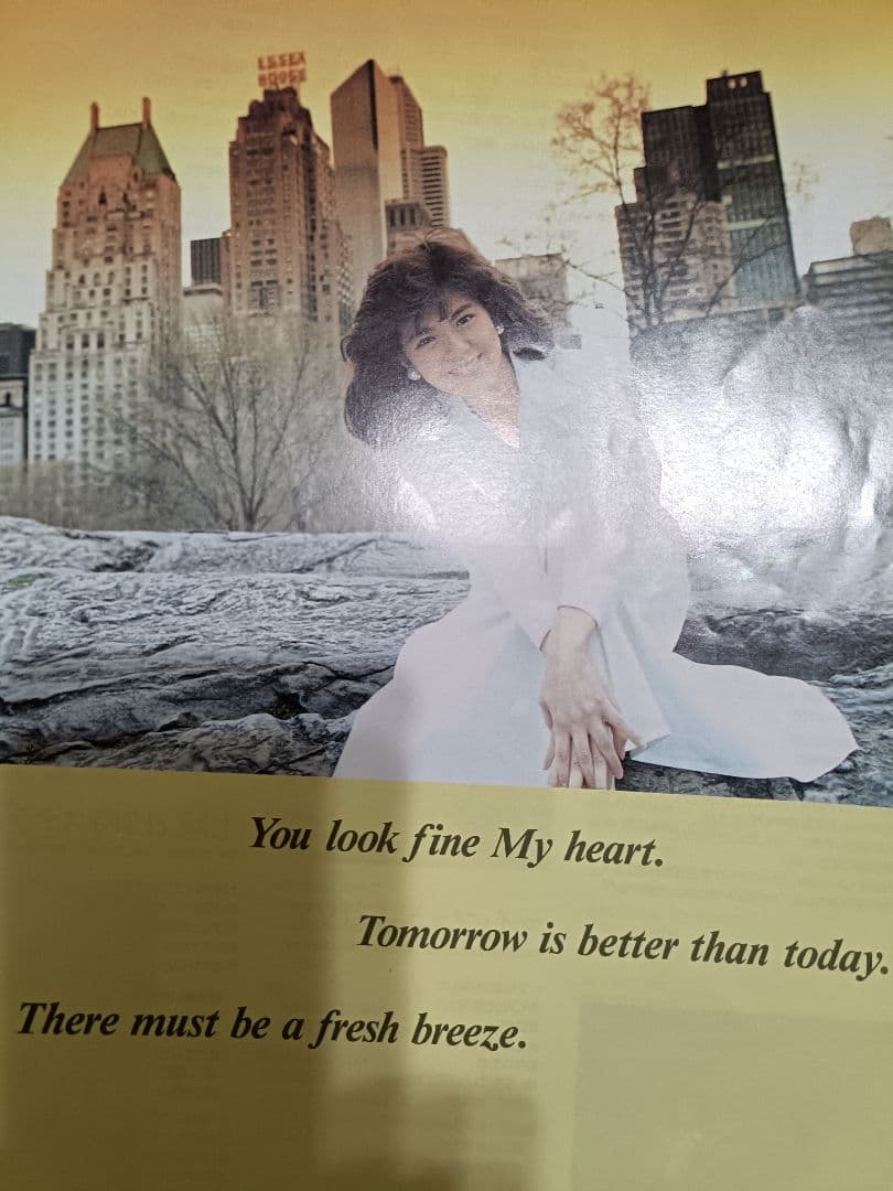 南野陽子さん　LPレコード2枚セットです。