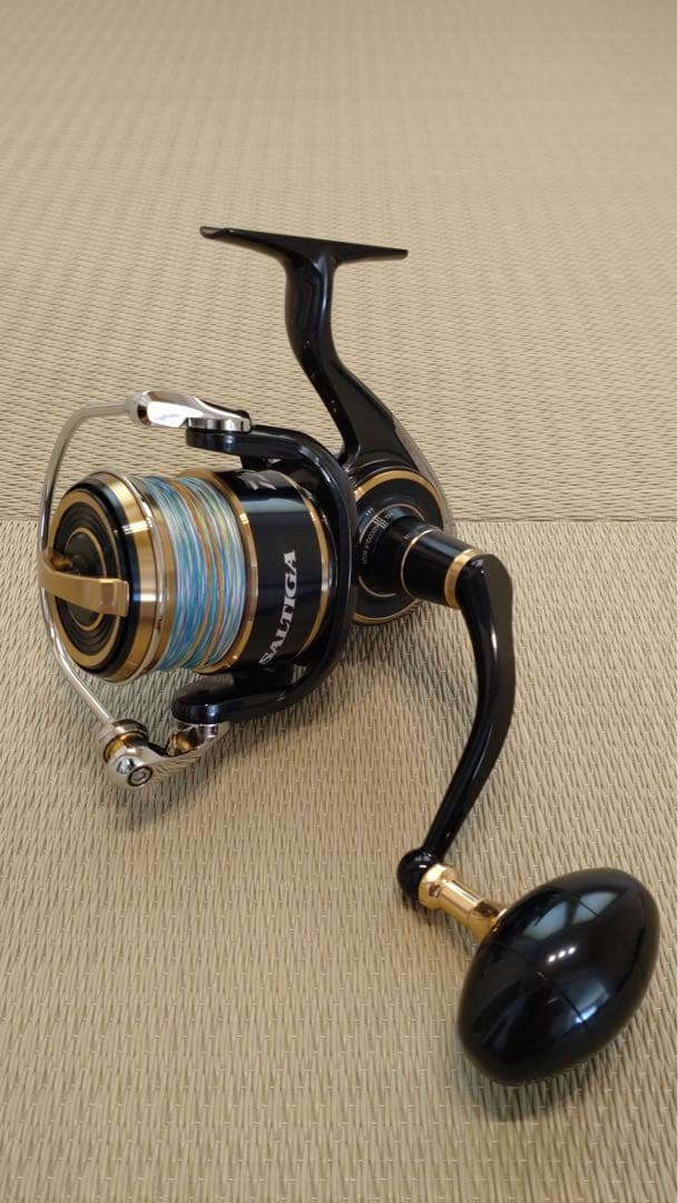 ソルティガ 8000 H