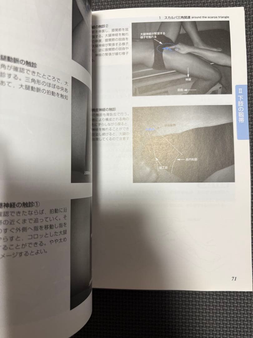 整形外科運動療法ナビゲーション＆機能解剖学的触診技術セット　理学療法士　作業療法