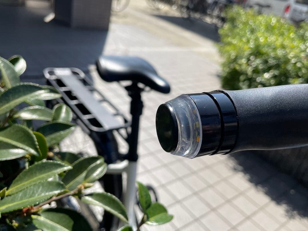 スサーン　Cyrusher フル電動アシスト