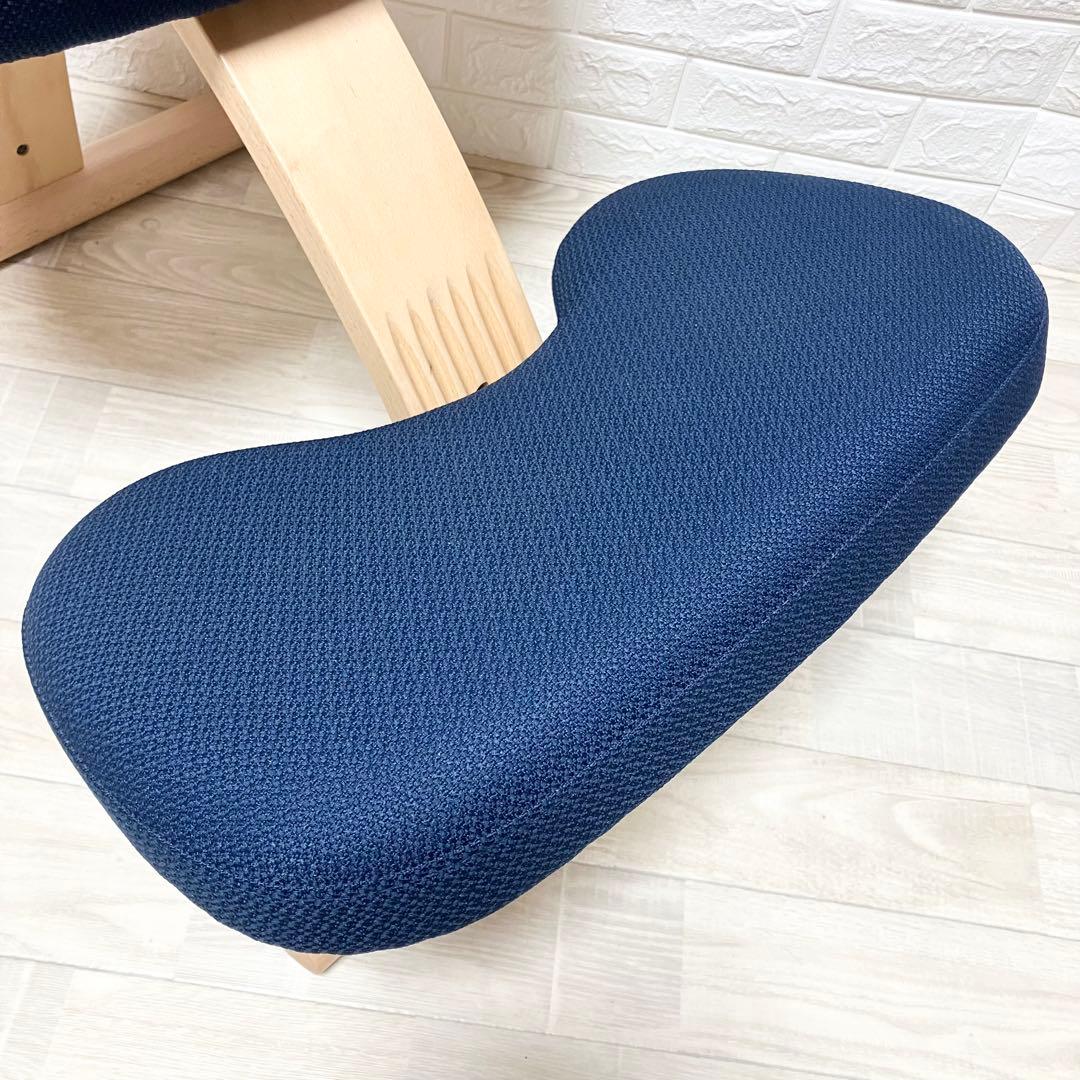 極美品　別売カバー付　バランスイージー　balance easy 紺　ネイビー