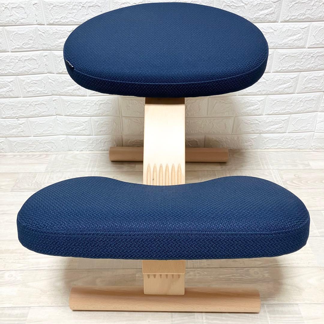 極美品　別売カバー付　バランスイージー　balance easy 紺　ネイビー