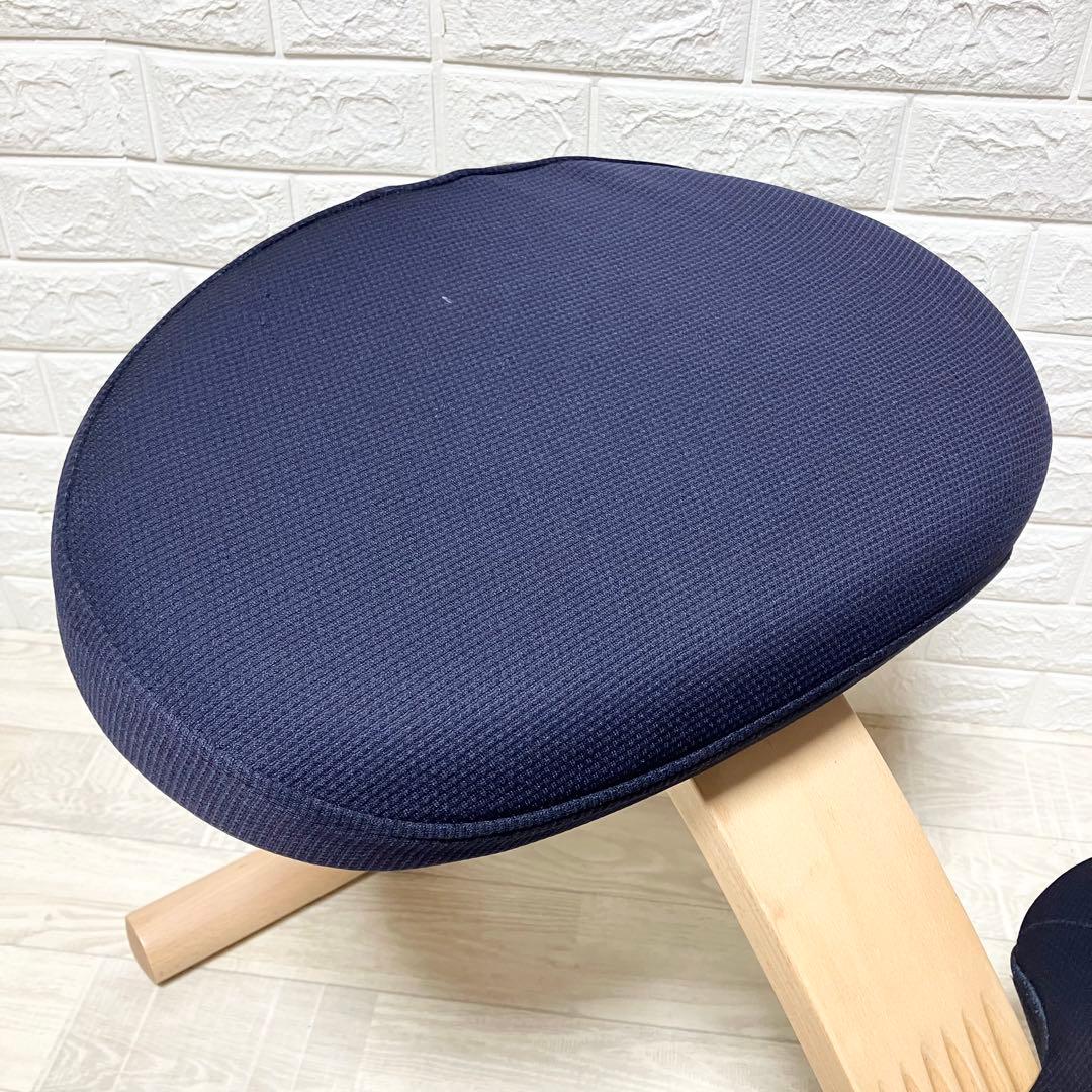 極美品　別売カバー付　バランスイージー　balance easy 紺　ネイビー