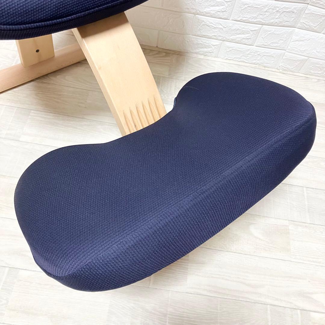 極美品　別売カバー付　バランスイージー　balance easy 紺　ネイビー