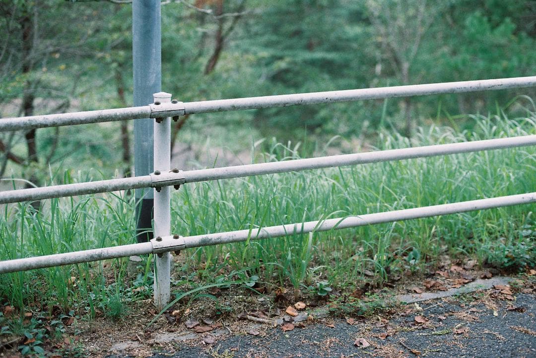 nikon FM10 レンズキット　レンズ３本　単焦点　ズーム 作例あり