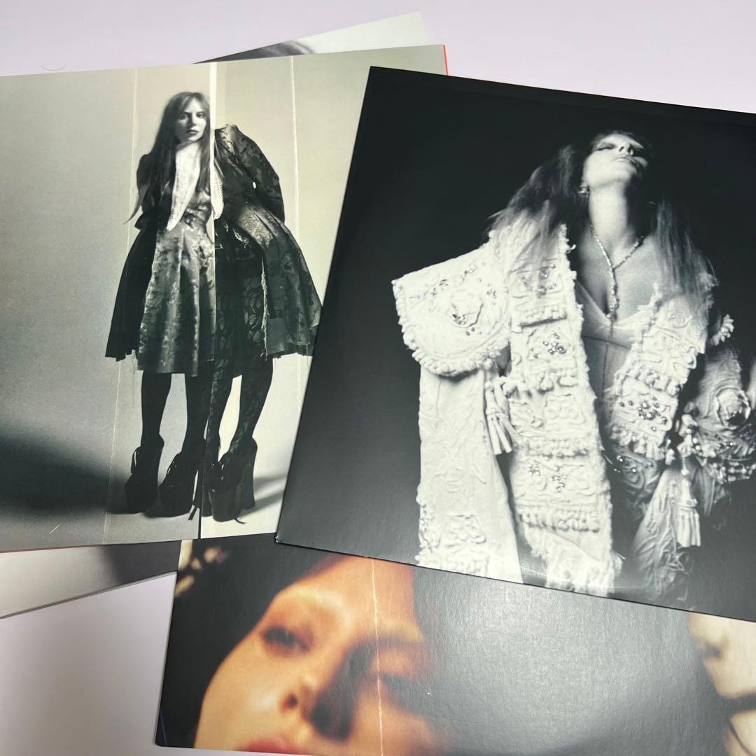 takuman　Lady Gaga Mayhem レコード　液体入り