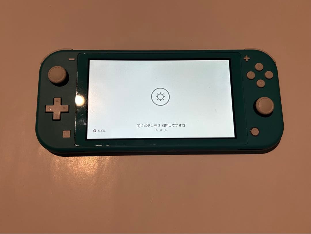 Nintendo Switchライト　ターコイズ　本体　箱あり　充電ケーブルあり