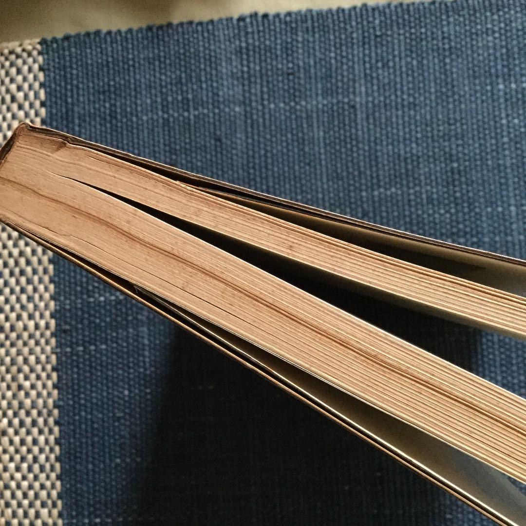 ビートルズ 草思社 ハンター デヴィス 1969年