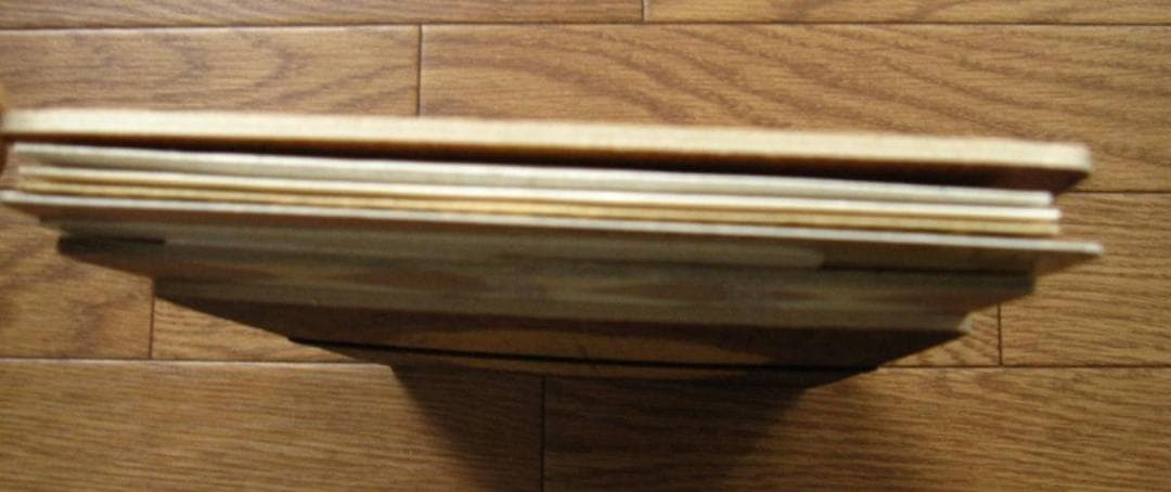 寺嶋真里　アリスが落ちた穴の中 Dark Marchen Show　限定450部