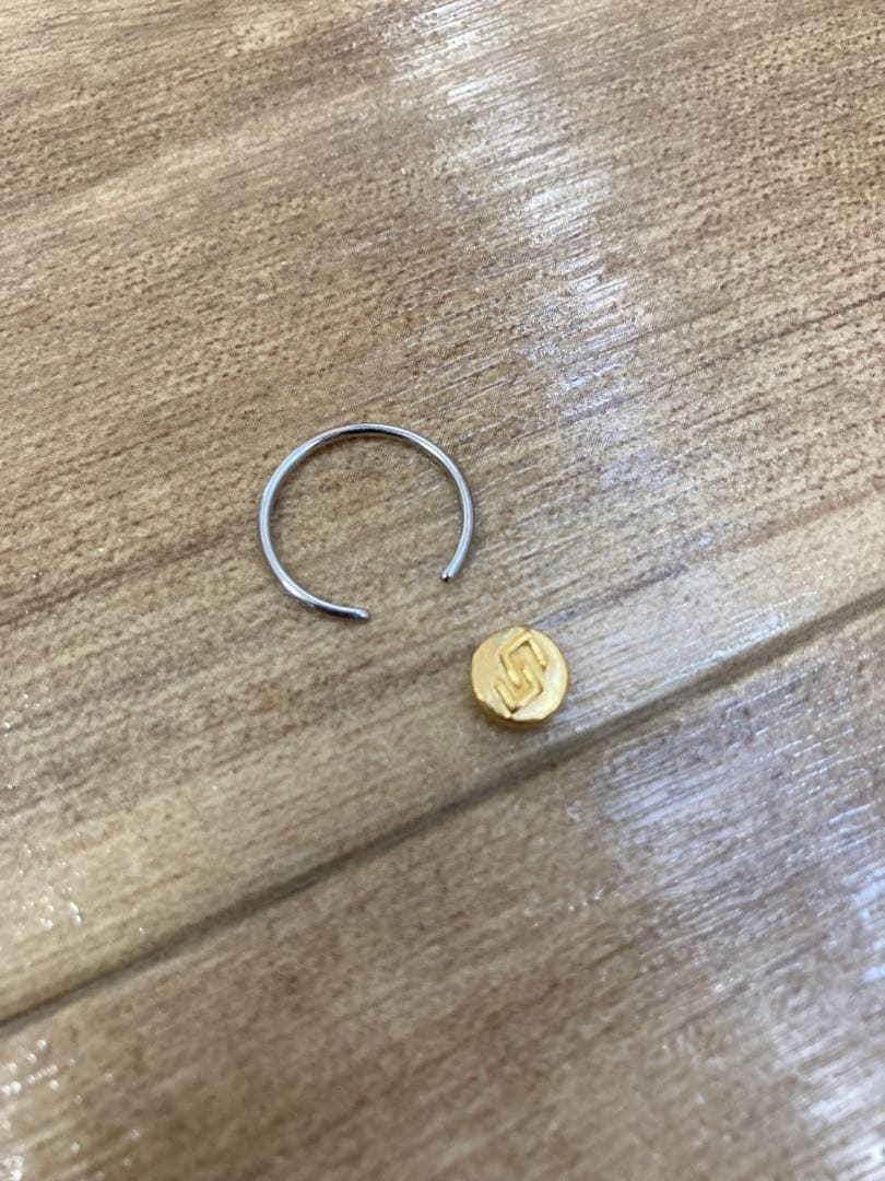 SAHRIVAR（シャフリーヴァル）ピアス　【TAKUYA∞着用】