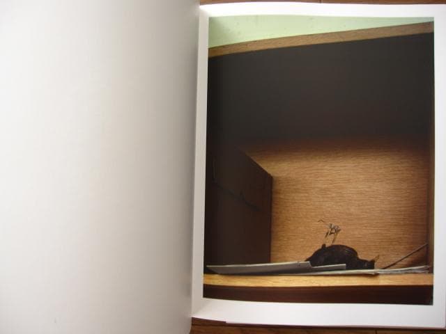 Proliferation　Geert Goiris　プリント付　限定300部