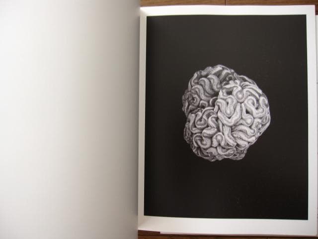 Proliferation　Geert Goiris　プリント付　限定300部