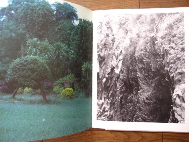 Proliferation　Geert Goiris　プリント付　限定300部