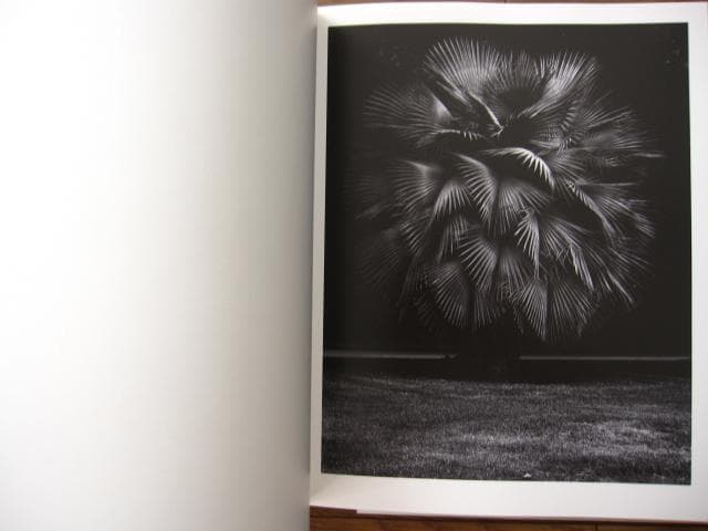 Proliferation　Geert Goiris　プリント付　限定300部