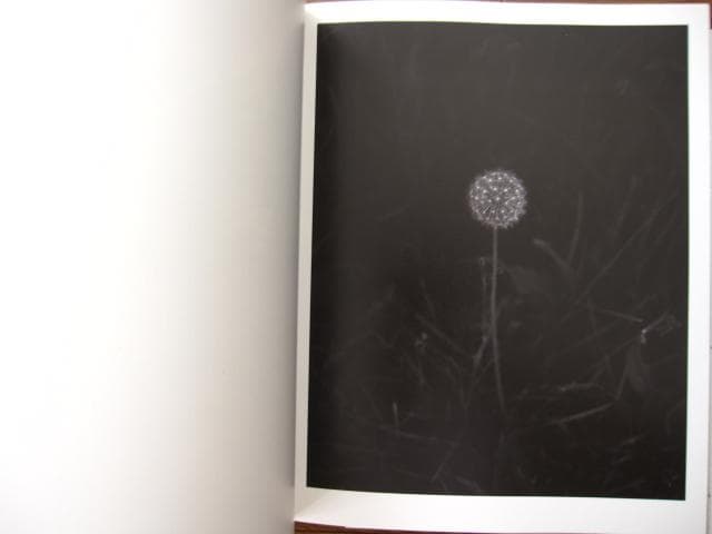 Proliferation　Geert Goiris　プリント付　限定300部