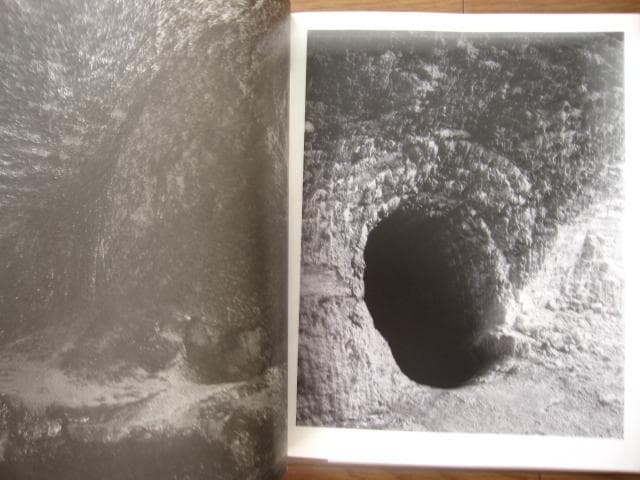 Proliferation　Geert Goiris　プリント付　限定300部