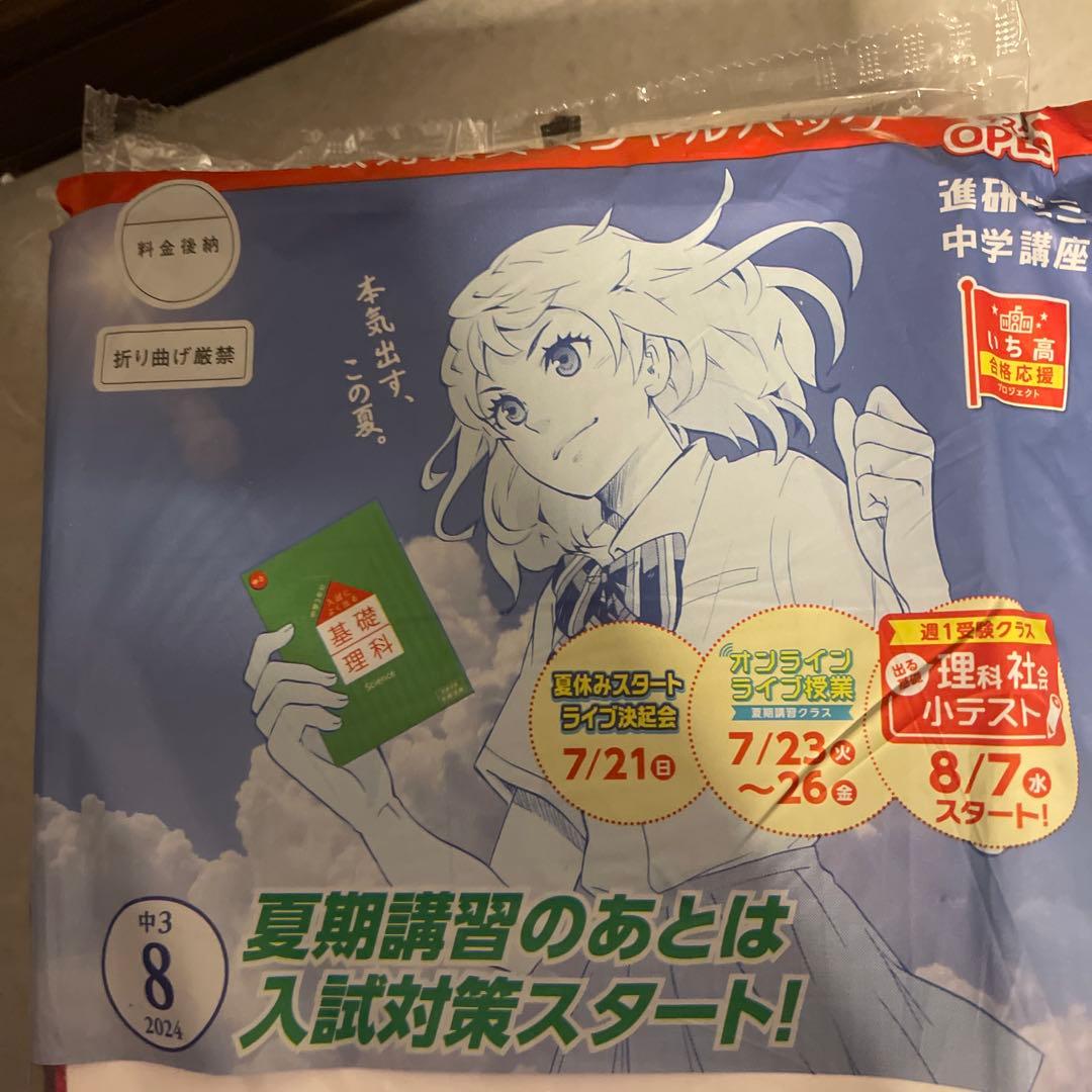 進研ゼミ　2024新品未使用　入試向け　教材