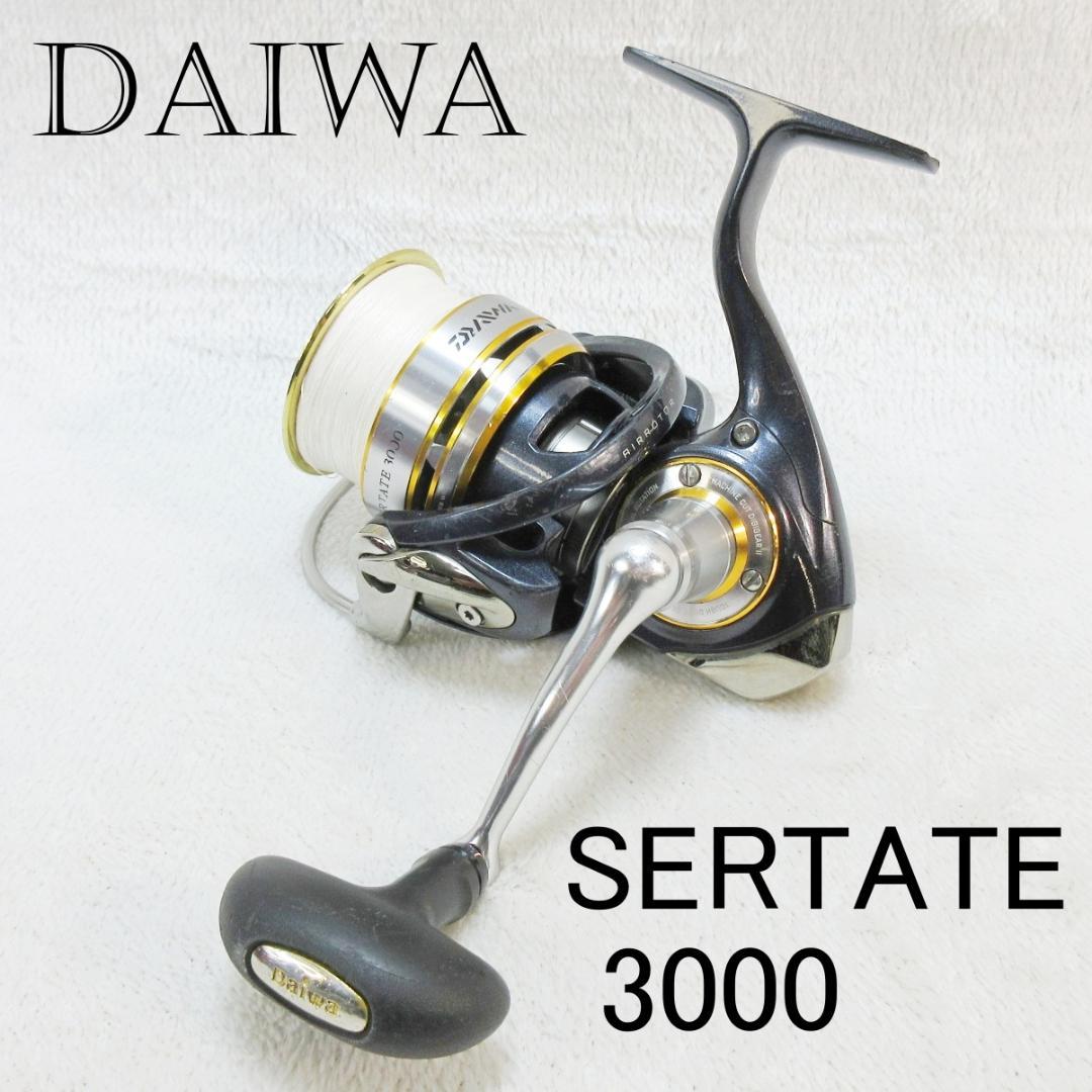✨往年の名器✨ダイワ DAIWA SERTATE 3000