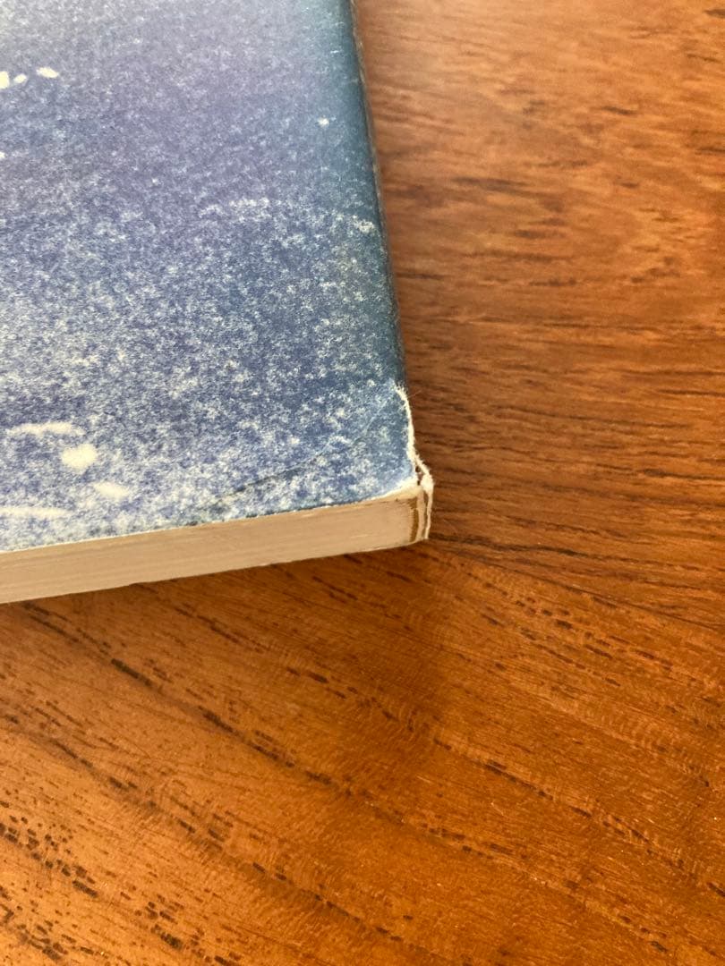 アート・デザイン・音楽 Absent Without Leave - Christopher Wool