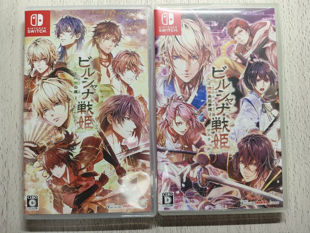 ビルシャナ戦姫 源平飛花夢想 一樹の風 Nintendo Switch