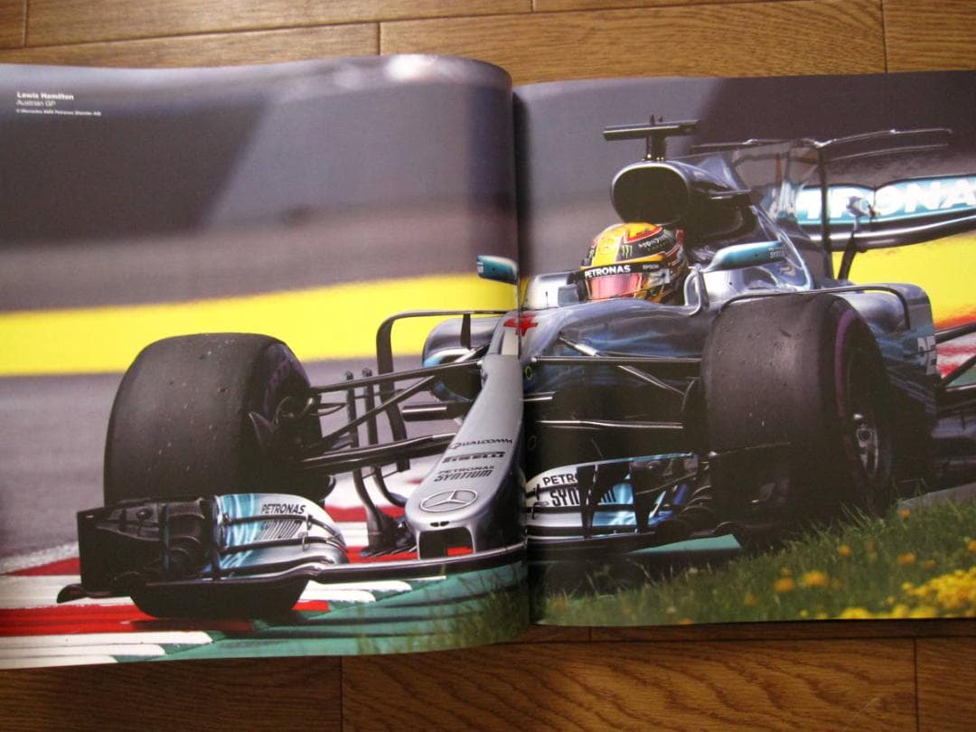 Formula 1 2017　フォーミュラ F1 世界選手権