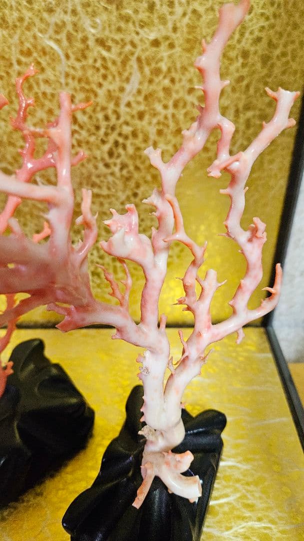 れいこ　　　珊瑚　サンゴ　置物