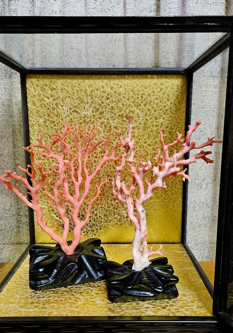 れいこ　　　珊瑚　サンゴ　置物