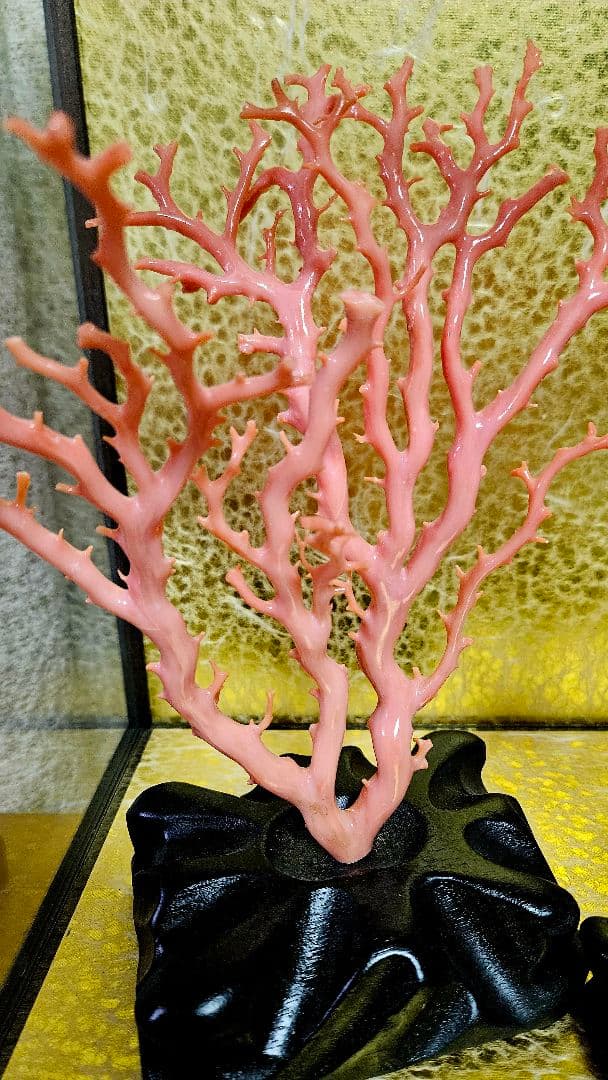 れいこ　　　珊瑚　サンゴ　置物