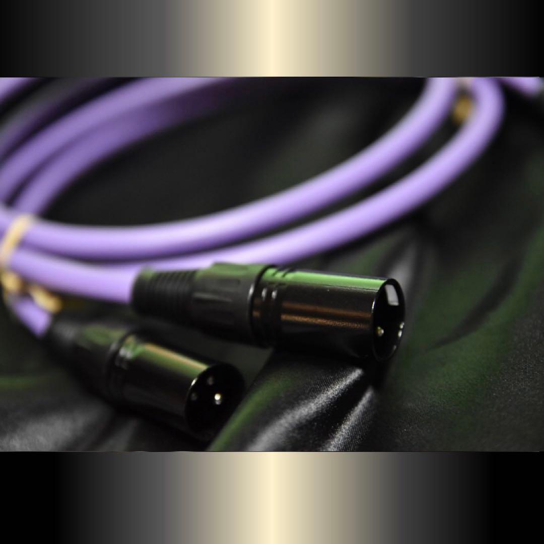 【高音質】OYAIDE オヤイデ PA-02 XLR V2/1.0mペア