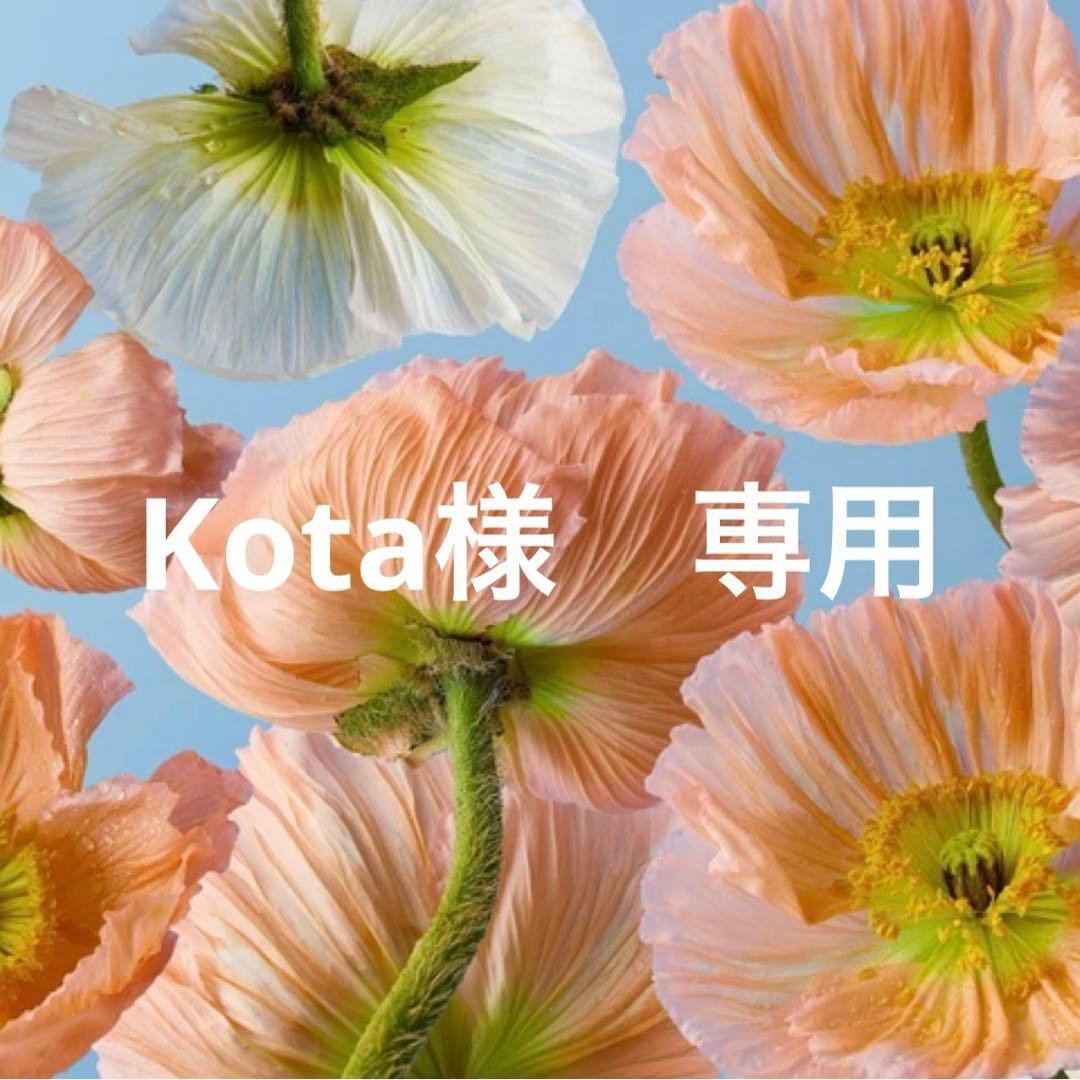 Kota　今週末発送　フリーサイズ