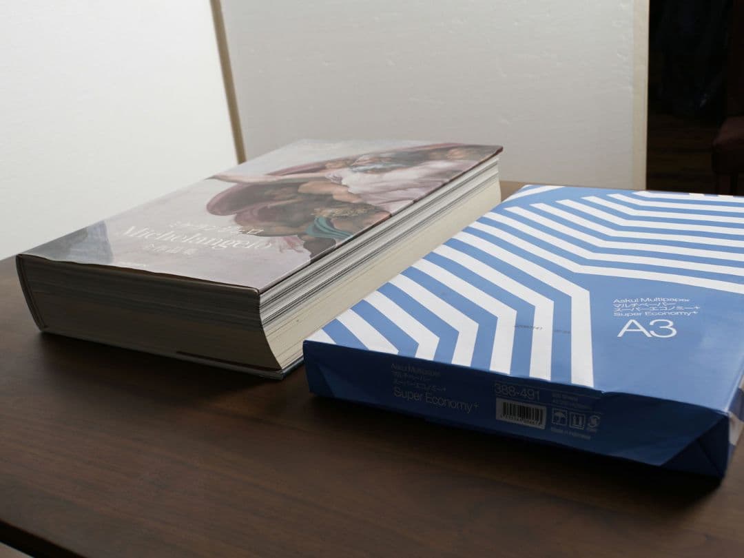 ミケランジェロ 1475―1564 全作品集