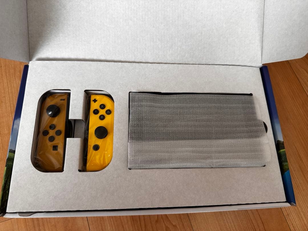 Nintendo Switch本体　ポケモン版