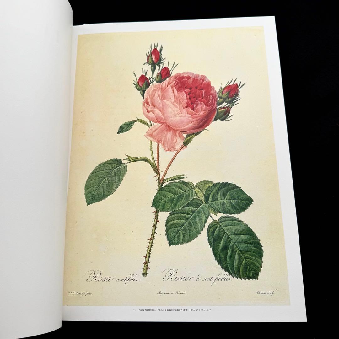 ピエール=ジョゼフ・ルドゥーテ 画集「バラ図譜 Les Roses 」豪華愛蔵版