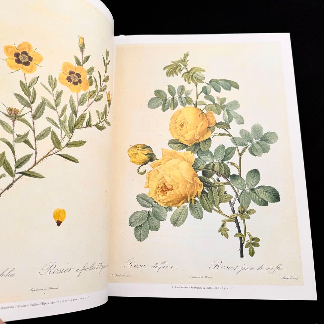 ピエール=ジョゼフ・ルドゥーテ 画集「バラ図譜 Les Roses 」豪華愛蔵版