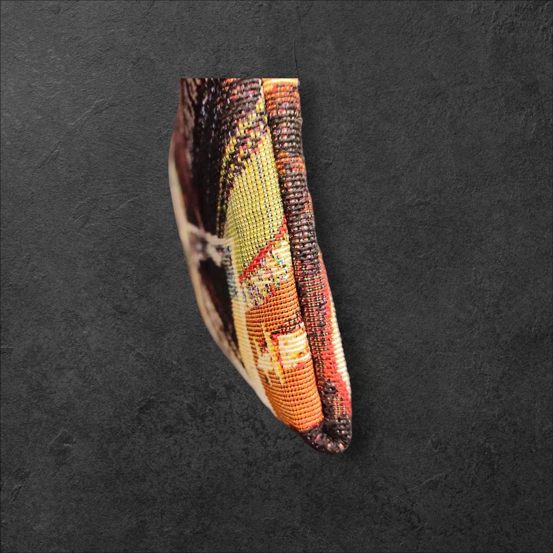 ♠♥♣Think Bee！ ノエルL型長財布　新品未使用　正規品