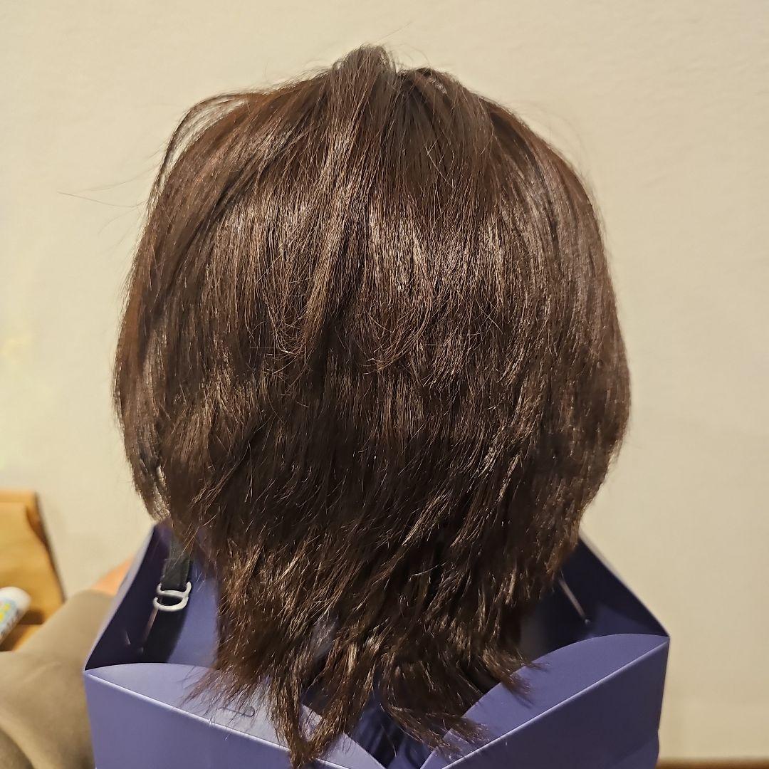 限定値下げ!! 美品!!フォンテーヌ フルウィッグ VR04 R141