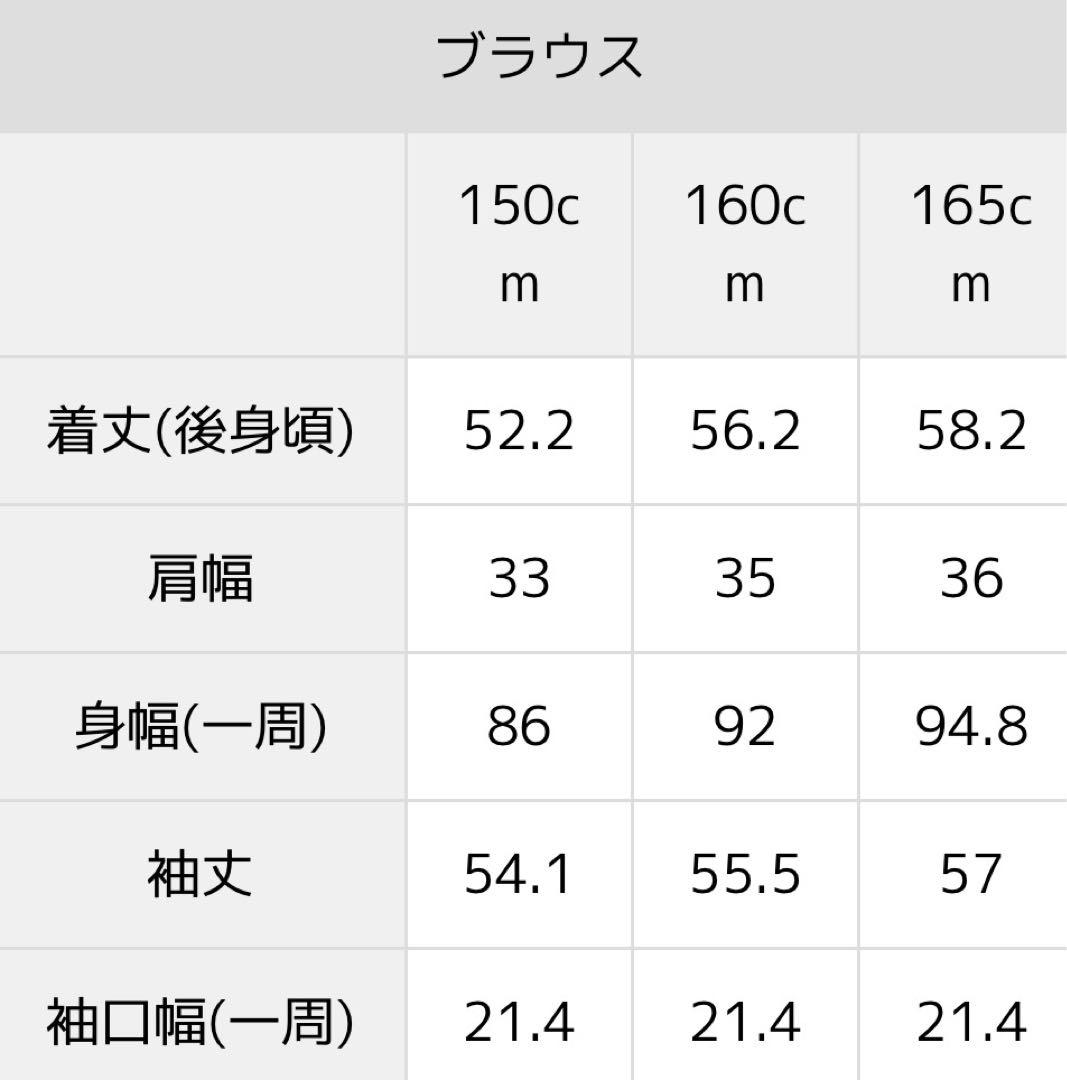 【新品タグなし】アリサナ　卒服　165cm