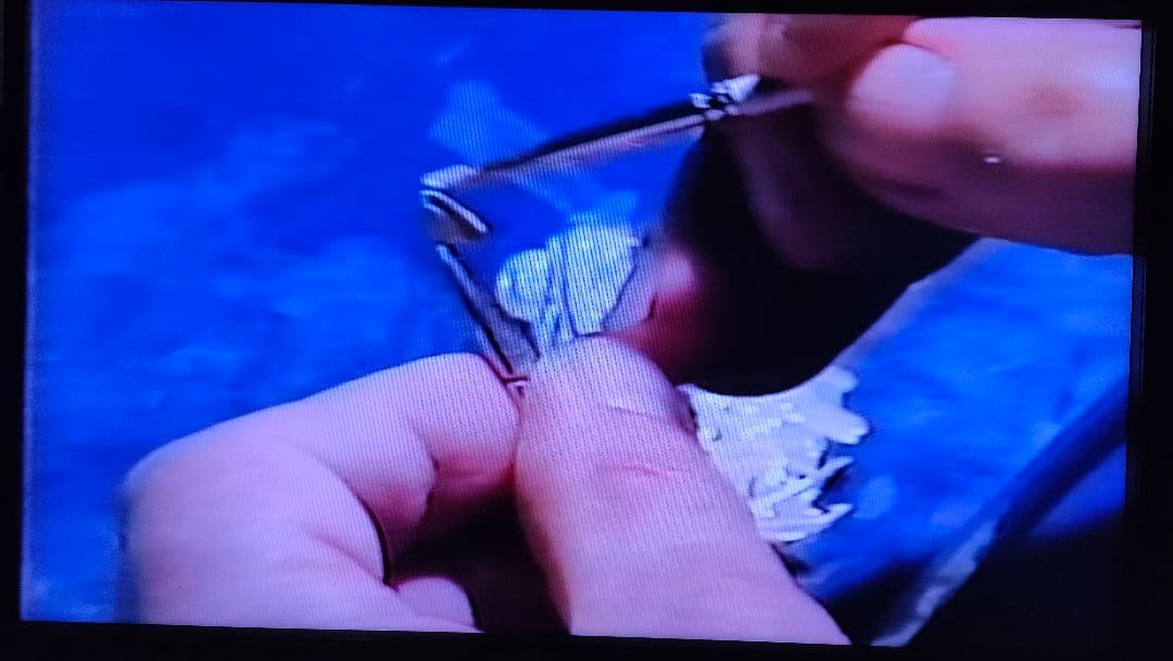 ウィリーゲラー氏の講演とテーブルクリニックビデオ　3本　ポーセレン　歯科技工