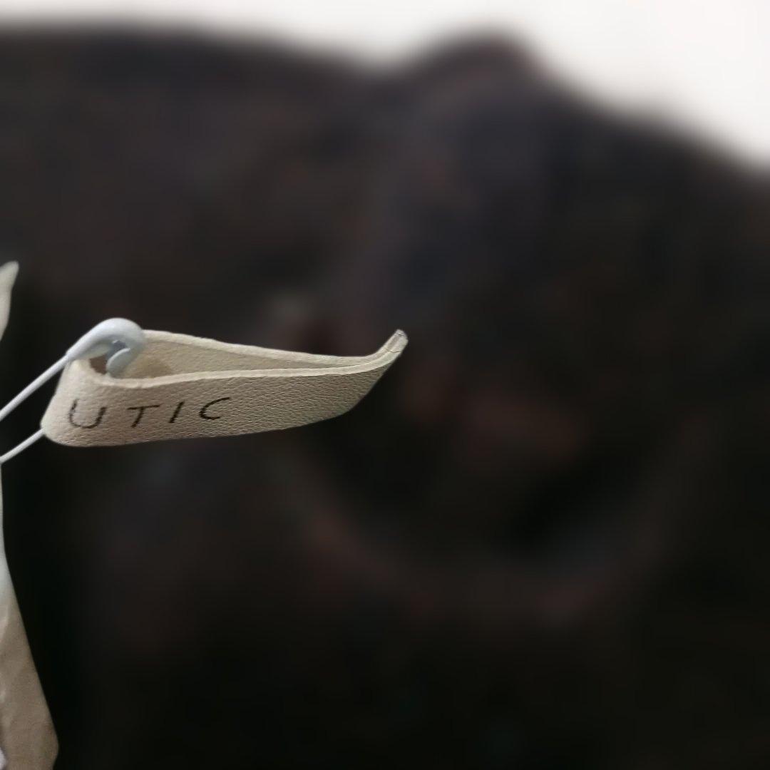 BOBOUTIC/新品タグ付き/ダークブラウンパンツ/ ウエストゴムウールパンツ