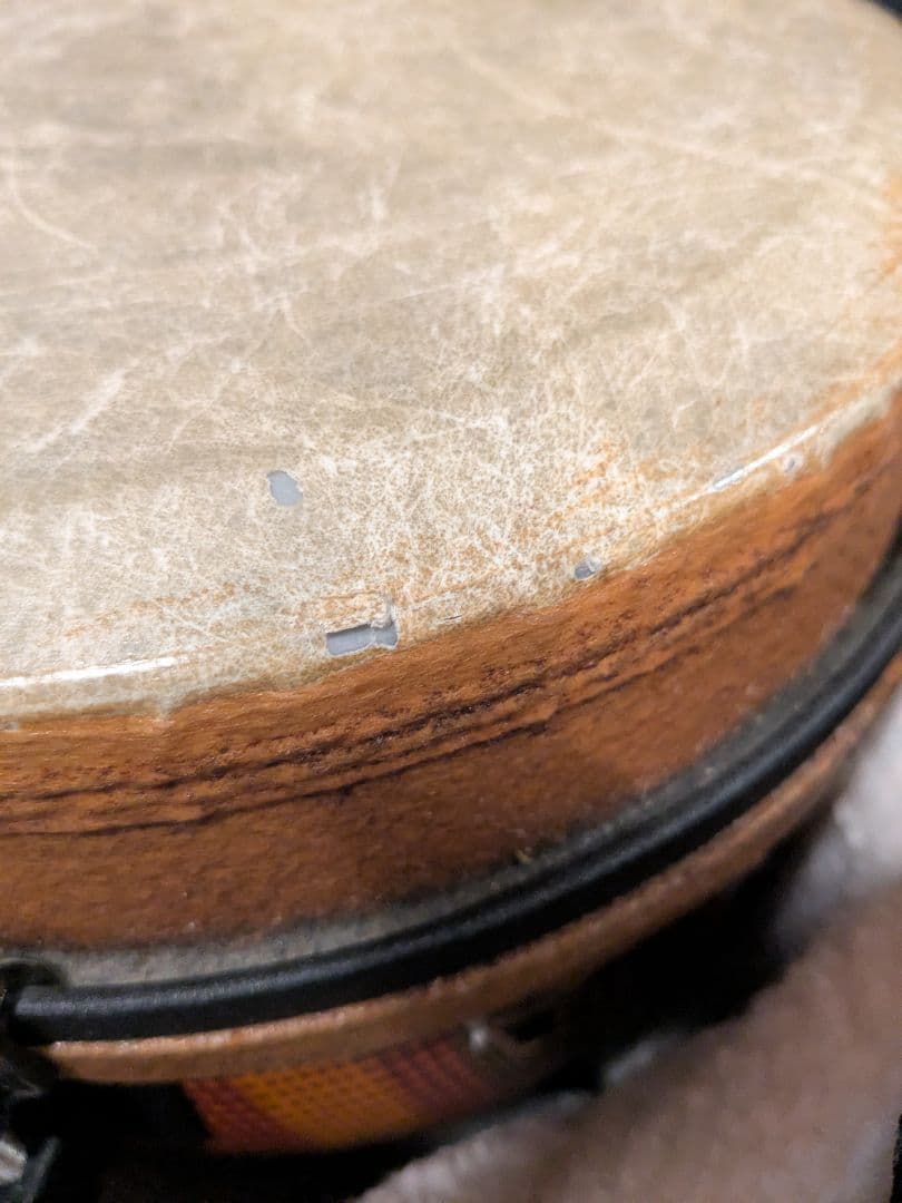 【REMO】ジャンベ 10インチ /専用ケース付き