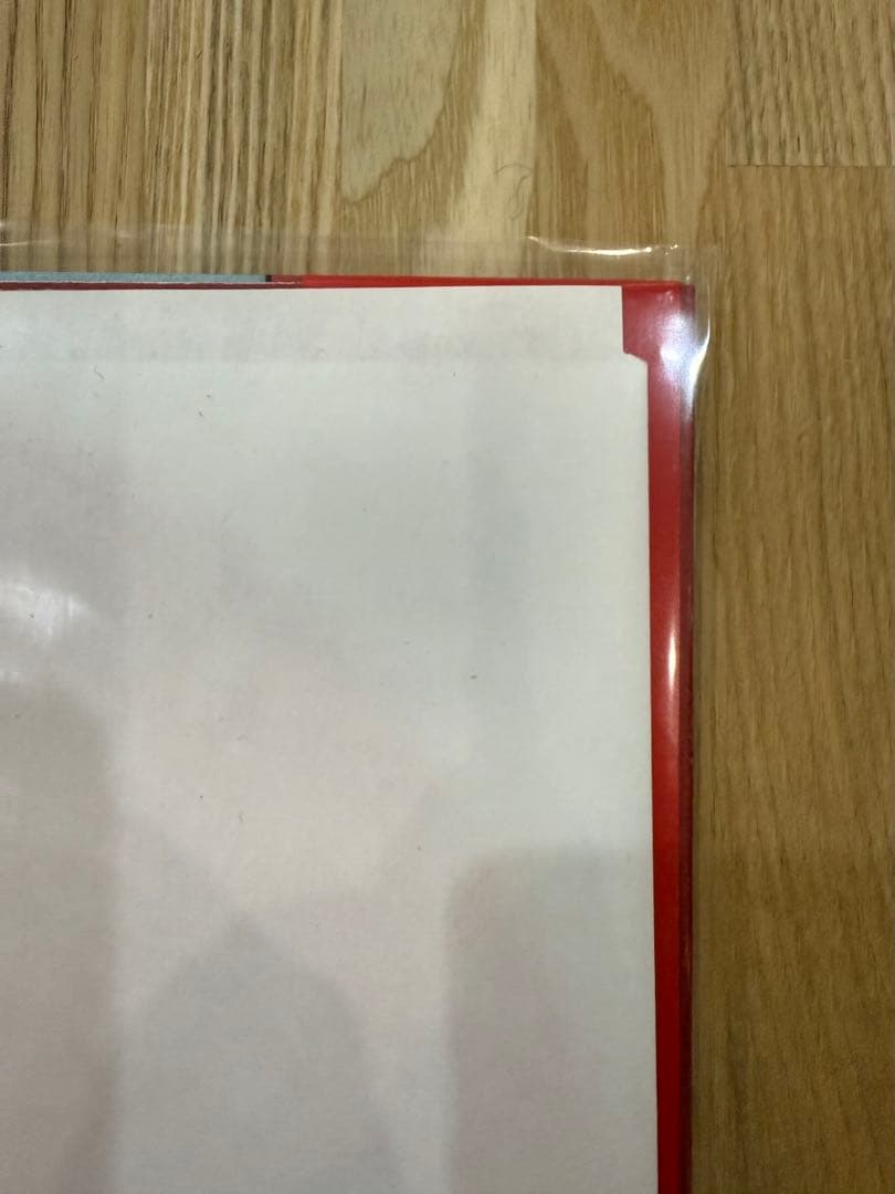 Horsegirl Big Love Records日本限定