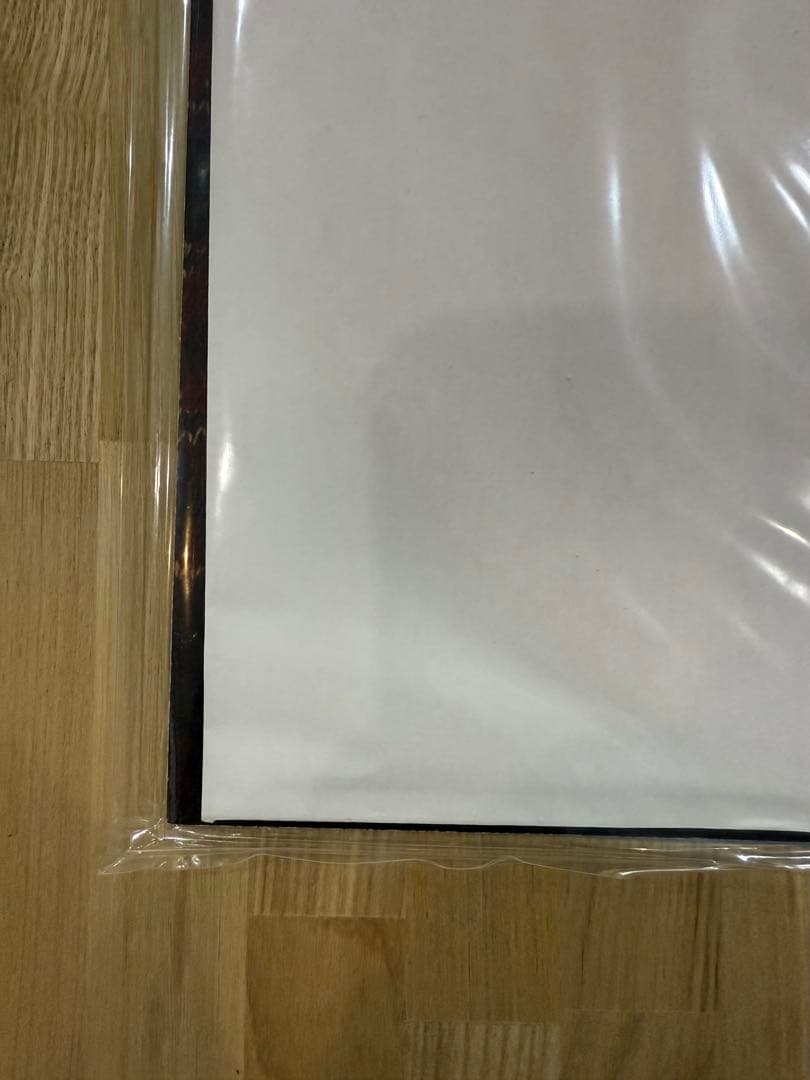 Horsegirl Big Love Records日本限定